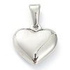 304 Stainless Steel Pendants STAS-P278-01T-P-2