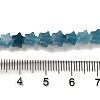 Dyed Natural Aquamarine Beads Strands G-G085-B29-02-4