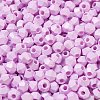 Baking Painted Glass Seed Beads SEED-C004-01K-3