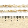 Natural Freshwater Shell Beads Strands BSHE-G036-03-4
