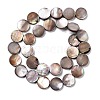 Natural Sea Shell Beads Strands SSHEL-D084-13A-2