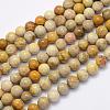 Natural Fossil Coral Beads Strands G-G697-F01-6mm-1
