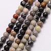 Natural Polychrome Jasper/Picasso Stone/Picasso Jasper Bead Strands G-K146-71-3mm-1