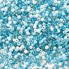 Opaque & Transparent Inside Colours Glass Seed Beads SEED-F004-01B-3