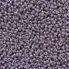 MIYUKI Round Rocailles Beads X-SEED-G007-RR0437-3