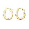 Brass Two Tone Oval Hoop Earrings EJEW-B117-04-4