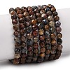 Natural Pietersite Beads Strands G-G792-37C-2