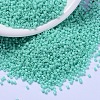 MIYUKI Delica Beads SEED-X0054-DB2122-1