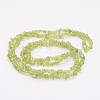 Peridot Gemstone Beads F045-2