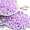 Imitation Jade Glass Seed Beads SEED-Z001-A-B05-1