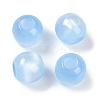 Resin European Beads RESI-F055-02G-1