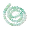 Natural Glass Beads Strands G-C004-01B-2