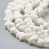 Natural Spiral Shell Beads Strands BSHE-I011-11C-3