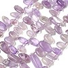 Natural Amethyst Beads Strands G-P604-A08-01-2