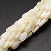 Natural Trochid Shell/Trochus Shell Beads Strands SSHEL-K015-04-1