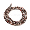 Natural Leopard Skin Jasper Beads Strands GG-CBA3921-A02-3mm-5