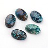 Natural Chrysocolla Cabochons X-G-D804-01-1