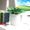 Potted Succulent Clay with Porcelain Mini Model PW-WG86ED7-01-2