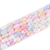 Anti-Tarnish Electroplate Glass Beads Strands X-GLAA-T025-29F-1