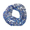 Electroplate Glass Beads Strands EGLA-C005-01A-FR01-2