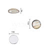 Luminous Glass Cabochons GLAA-SZ0001-14E-5