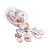 1 Box Scallop Seashells Clam Shell Dyed Beads with Holes for Craft Making 40-50pcs BSHE-YW0001-01-1