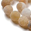 Natural Weathered Agate Beads Strands G-P538-A01-03-4