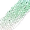 Transparent Glass Beads Strands LS-GLAA-E036-07C-2