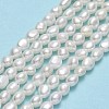 Natural Cultured Freshwater Pearl Beads Strands PEAR-A005-12-01-2