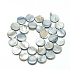 Natural Shell Beads Strands PBB251Y-3-2