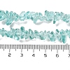 Transparent Glass Beads Strands GLAA-P060-01B-04-4