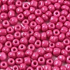 6/0 Glass Seed Beads SEED-S058-A-F421-3