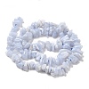 Natural Blue Lace Agate Chip Beads Strands G-E271-73-01-2