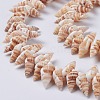 Natural Spiral Shell Beads Strands X-BSHE-I016-08-3
