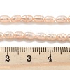 Natural Cultured Freshwater Pearl Beads Strands PEAR-P062-01B-5