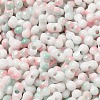 Baking Paint Glass Seed Beads SEED-F005-01A-08-3