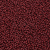 11/0 Grade A Baking Paint Glass Seed Beads X-SEED-N001-A-1061-2