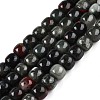 Natural African Bloodstone Beads Strands G-T138-150-4