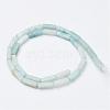 Natural Amazonite Beads Strands G-G968-D11-2