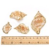 Natural Spiral Shell Pendants SSHEL-E556-06-3