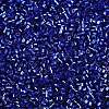 Baking Paint Silver Lined Glass Seed Beads SEED-H003-09F-2