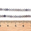 Natural Cordierite/Iolite/Dichroite Beads Strands G-B145-A04-3mm-5