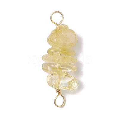 10Pcs 5 Styles Constellation Natural Garnet & Rose Quartz & Tiger Eye & Amethyst & Strawberry Quartz Copper Wire Wrapped Chip Beaded Connector Charms PALLOY-JF02905-11-1