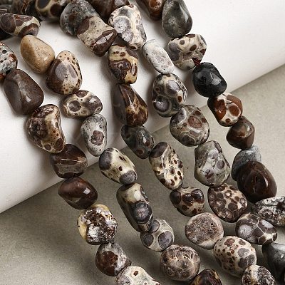 Natural Leopard Skin Jasper Beads Strands GG-CBAC13F-A01-01-1