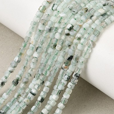Natural Tree Agate Beads Strands GG-CBA0C5B-A01-1