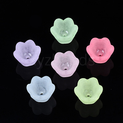 Transparent Acrylic Beads FACR-N005-001-1