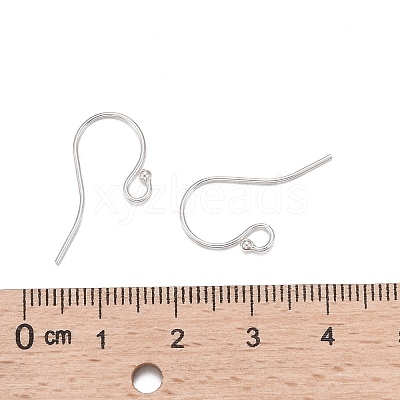 925 Sterling Silver Earring Hooks X-STER-K167-051C-S-1