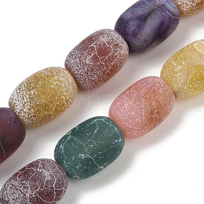 Natural Weathered Agate Beads Strands G-NH0047-B07-02-1