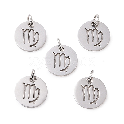Non-Tarnish 304 Stainless Steel Charms STAS-Q201-T445-6S-1