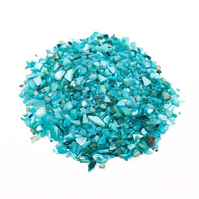 Natural Freshwater Shell Beads BSHE-I011-03B-1